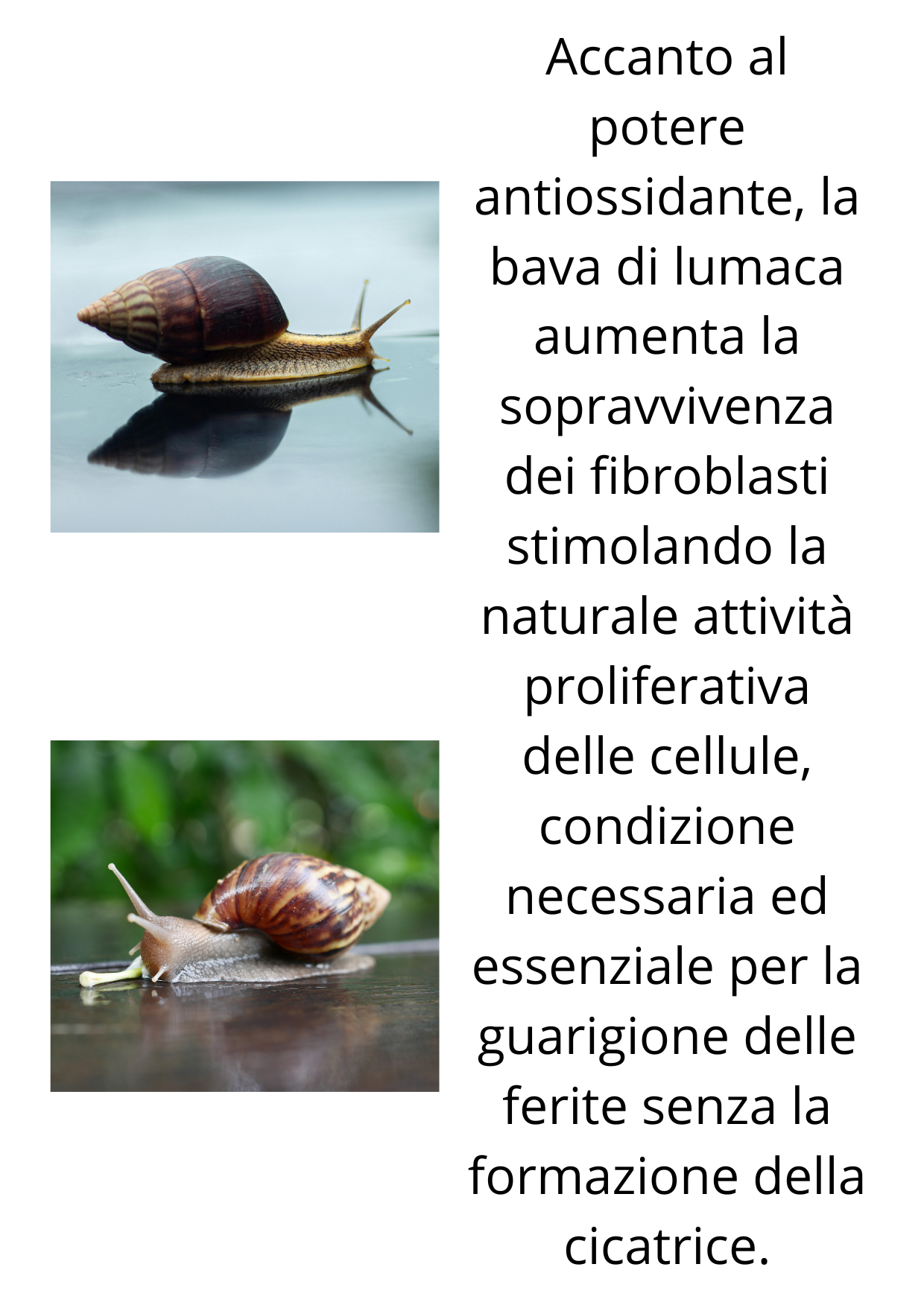 Soluzione fisiologica