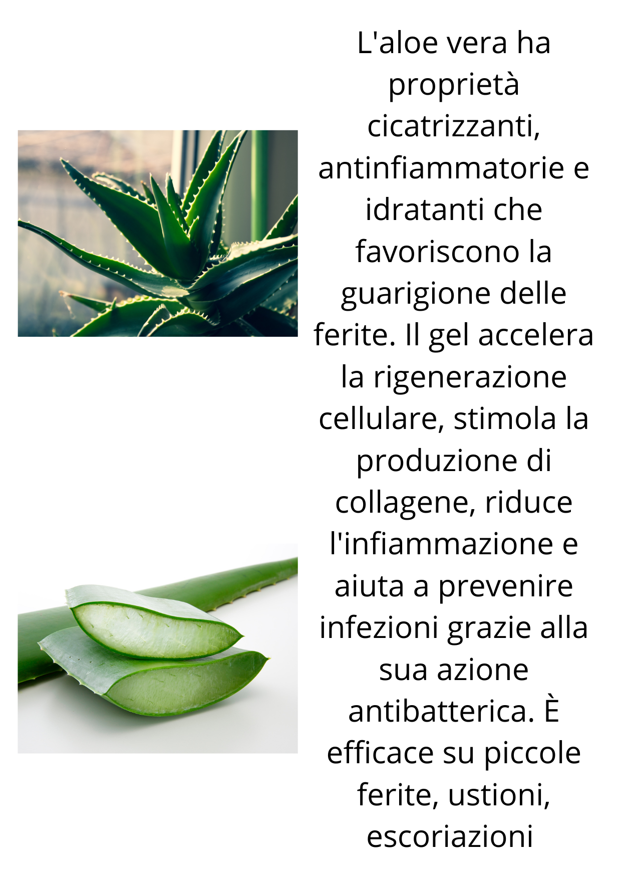 Soluzione fisiologica